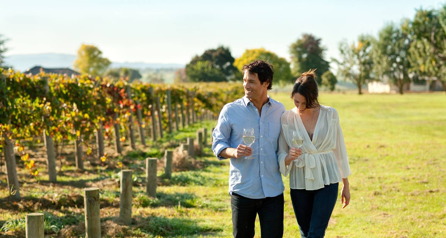 Private Hunter Valley Wine Tours
