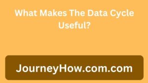 What Makes The Data Cycle Useful?