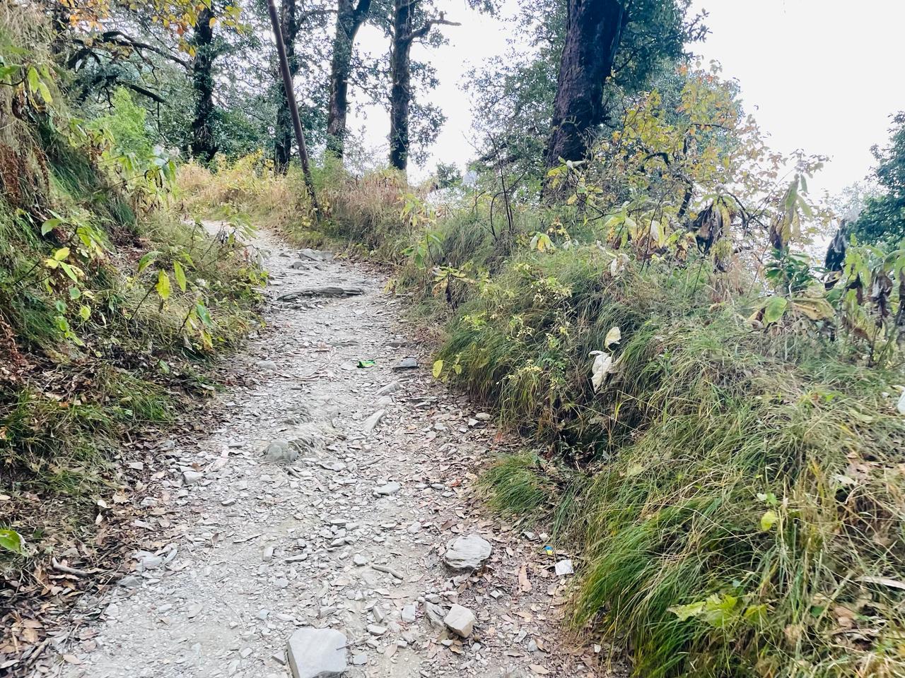 Naina Peak Trek